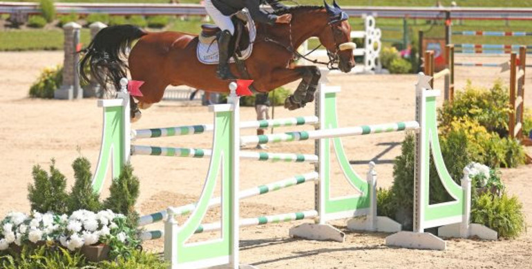 Samuel Parot and Quick Du Pottier crowned victorious in $100,000 Grand Traverse Grand Prix CSI3* to conclude Great Lakes Equestrian Festival