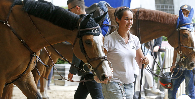 Leila Chew: From violinist and pig farming to professional groom