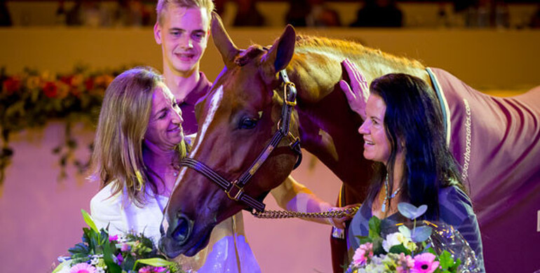 Record breaking edition of the Dutch Sport Horse Sales with Cherry Tania as top-seller at 385.000 Euros
