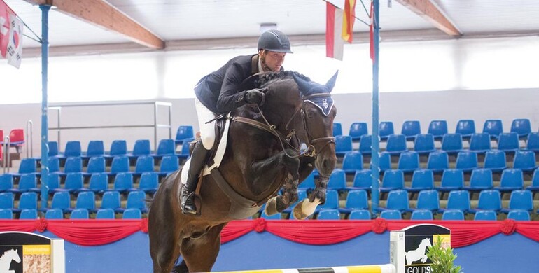 It’s Time to Fly: The Oldenburg Fall Elite Auction in Vechta