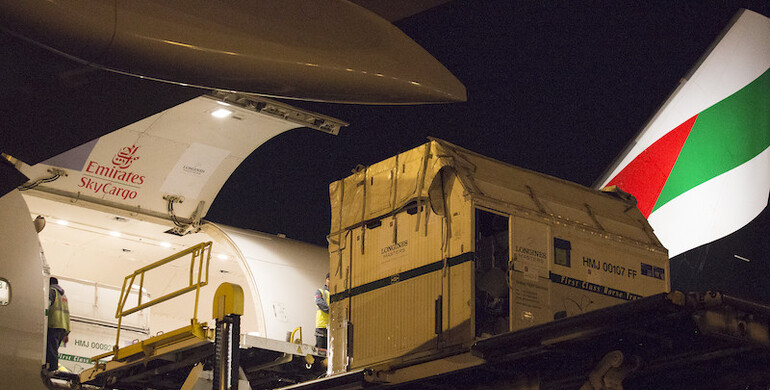 43 world class horses arrive in LA for the Longines Masters of Los Angeles