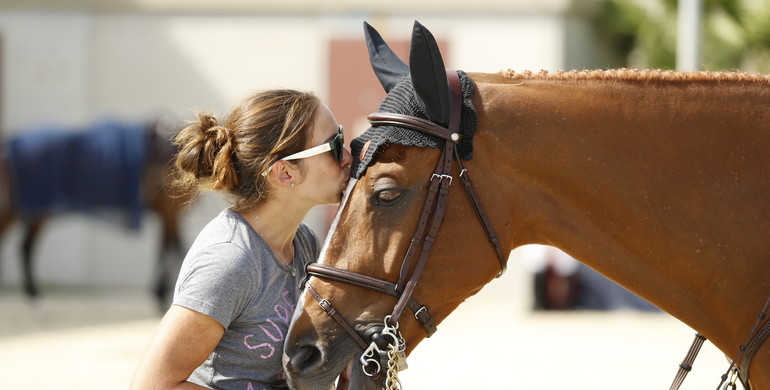 Images | Beautiful horses in Barcelona