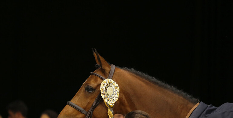 Highlights from the Los Angeles Longines Speed Challenge