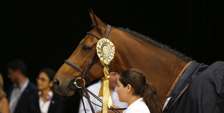 Highlights from the Los Angeles Longines Speed Challenge