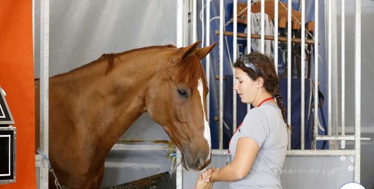 A walk around the stables at CSIO3*-W Rabat