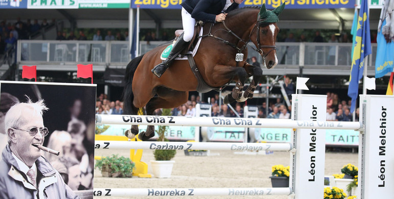 World Champion Killossery Kaiden to be sold at Goresbridge Supreme Sale of Showjumpers