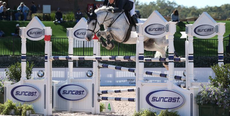 Tracy Fenney pilots MTM Reve Du Paradis to victory in $86,000 1.50m Suncast® Classic CSI5* to conclude competition at Tryon Fall V