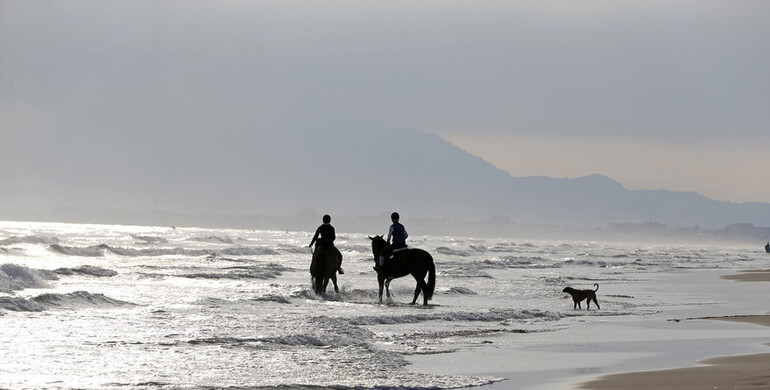 Beach life at the Mediterranean Equestrian Tour