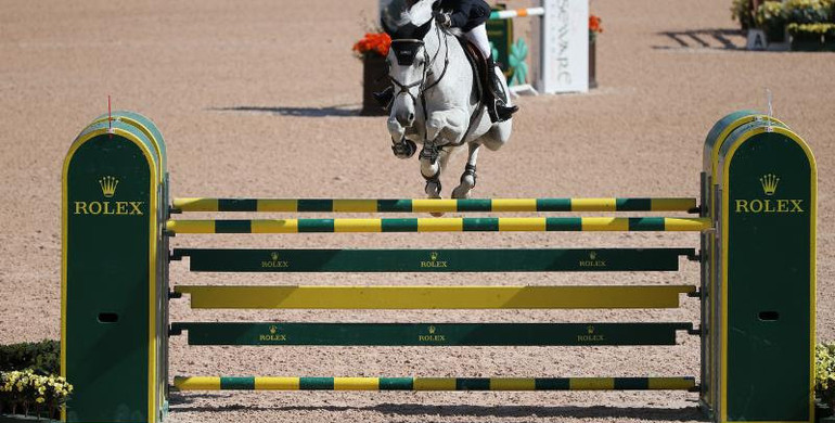 Margie Engle and Indigo capture final win of the season in the Tryon Resort Grand Prix to conclude competition at Tryon Fall VI