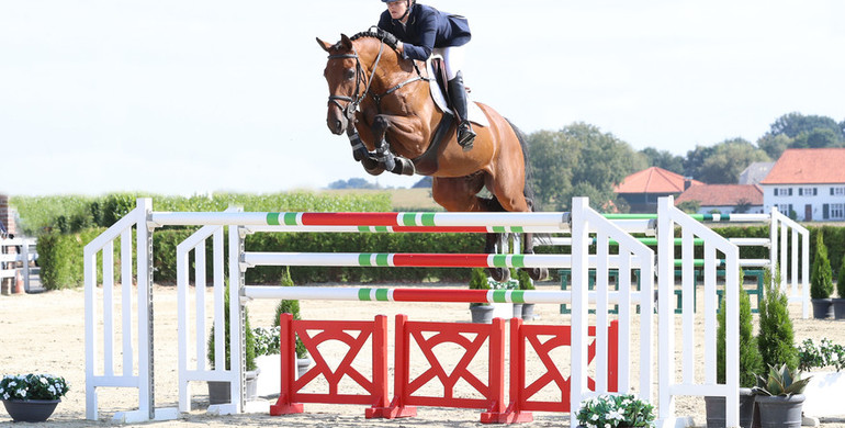 Holger Hetzel Sport Horse Sales presents: Mac Uwe (Cayado x Salient)