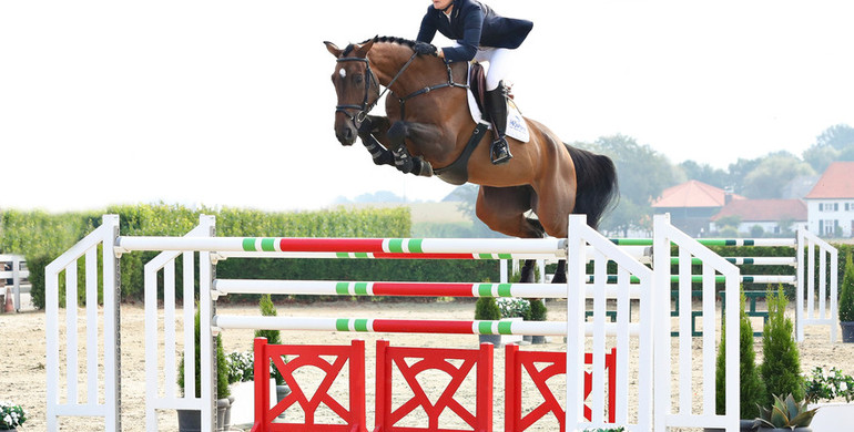 Holger Hetzel Sport Horse Sales presents: Extra (Clarimo x Lerano)