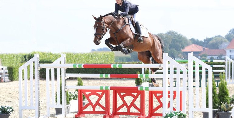 Holger Hetzel Sport Horse Sales presents: Mountain Man (Tangelo van de Zuuthoeve x Thunder van de Zuuthoeve)