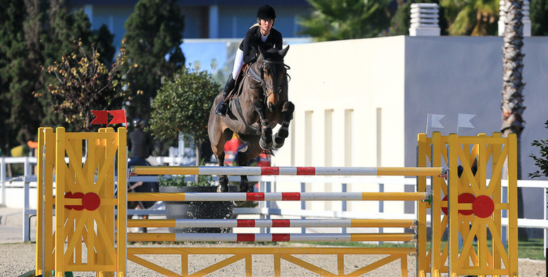 Hello Vivendi, Casper J&J Z and Tinkas Brook II to the top in the Autumn MET 2016 young horse finals
