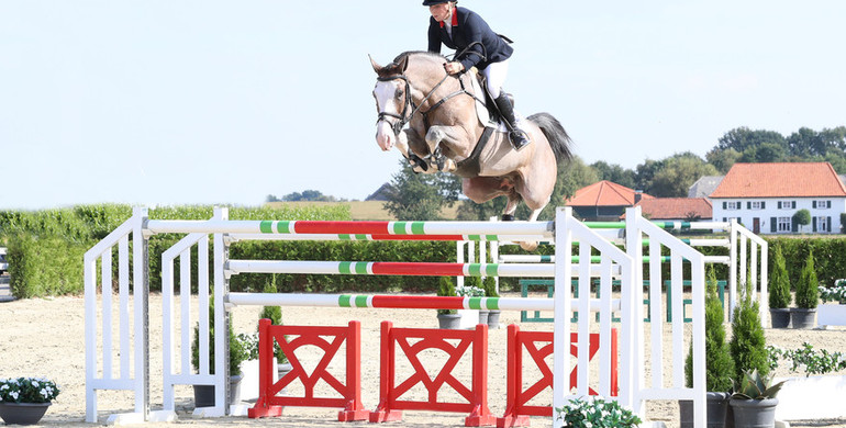 Holger Hetzel Sport Horse Sales presents: Hulapalu (Heartbeat x Carano)