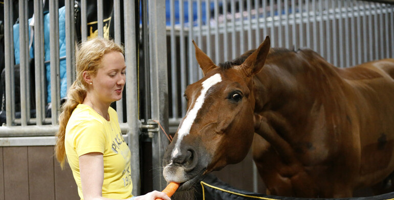 Images | A tour around the stables at LGCT Doha