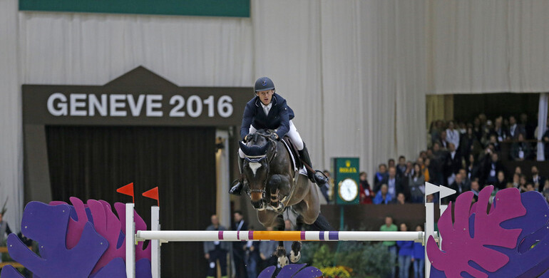 Cas de Liberte Z 2016 Horse of the Year in Belgium