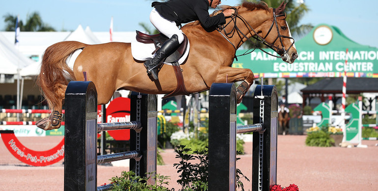 Todd Minikus and Zephyr top Douglas Elliman at the 2017 Winter Equestrian Festival