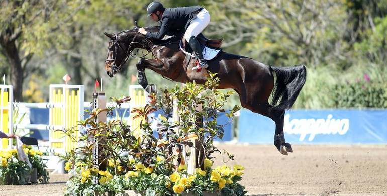 Juan Carlos Alvarez opens with a win in Guadalajara