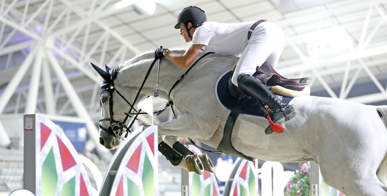 Mental Equipment: The tools of sports psychology in showjumping