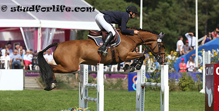 Urcos de Kerglenn HDC to Haras des Coudrettes