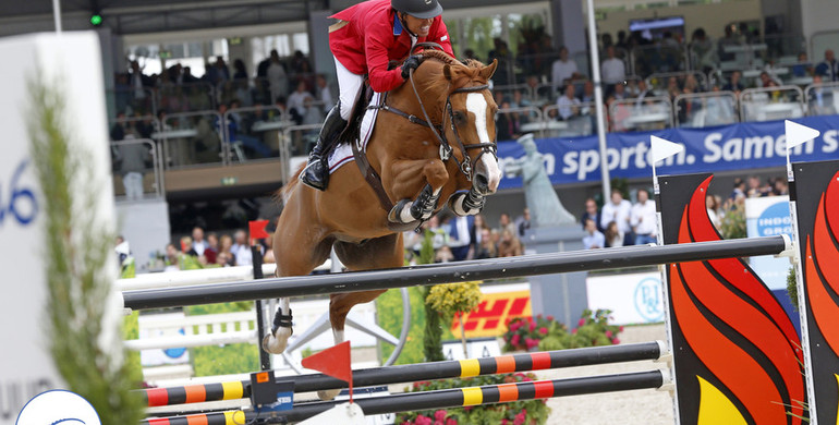 From youngster to international Grand Prix horse: Creedance