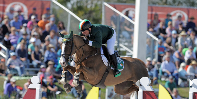 Cian O'Connor's Seringat to Geir Gulliksen