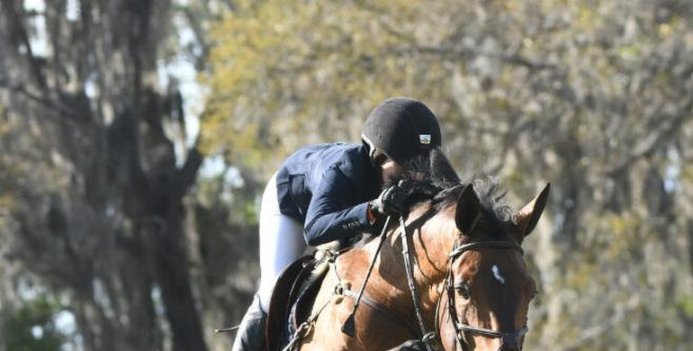 Springsteen rocks in the Hollow Creek Farm CSI3* at Live Oak International