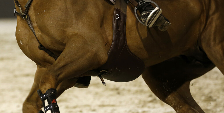 The European Equestrian Federation mobilises against non-performance based invitation systems and increased entry fees