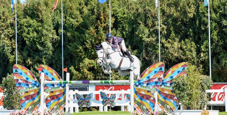 Guy Williams concludes Sunshine Tour with CSI4* Invitational Grand Prix win