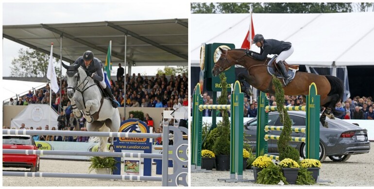 Baby luck at Haras des Coudrettes as Silvana and Carinjo become parents