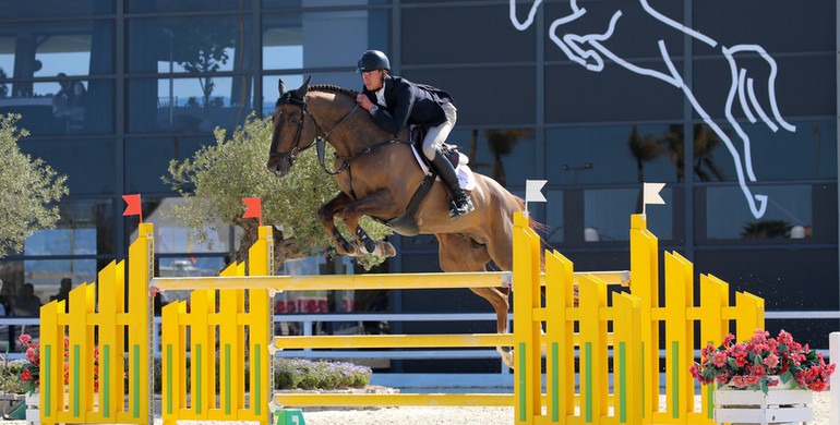 Two Irish and one Dutch win in the CSIYH1* young horse finals at Spring MET 3