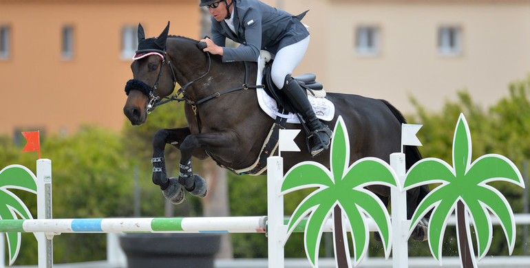 Hilton Alibi, Oaks Clovelly and Community 3 best in Young Horse Finals at Spring MET 4