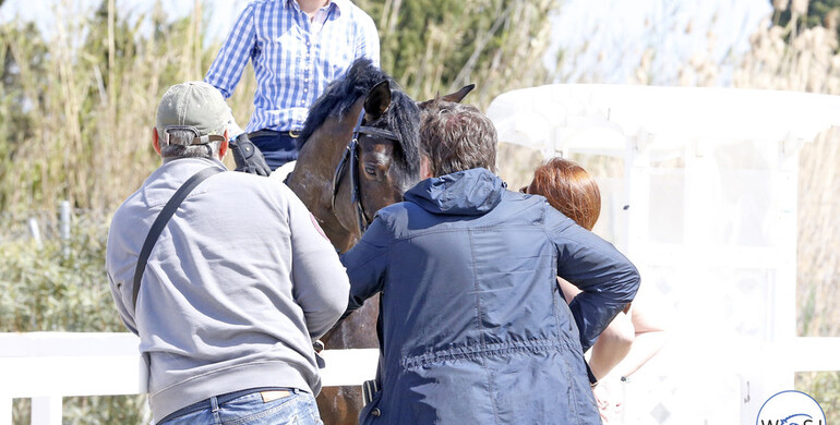 Young Riders Academy comes to its fifth edition and 2018-selection begins next week in Arezzo