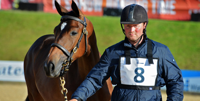 The Equerry Bolesworth International Horse Show  Elite Auction 2017