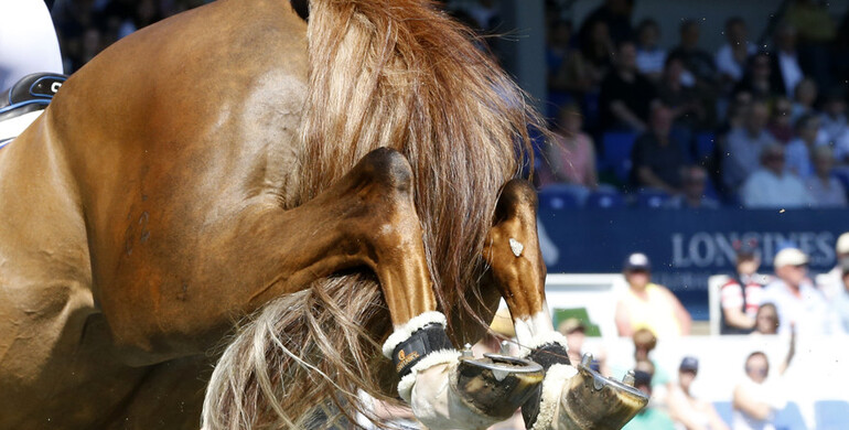 2019 changes to the FEI Jumping Rules