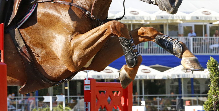 FEI re-opens bidding process for FEI World Equestrian Games™ 2022