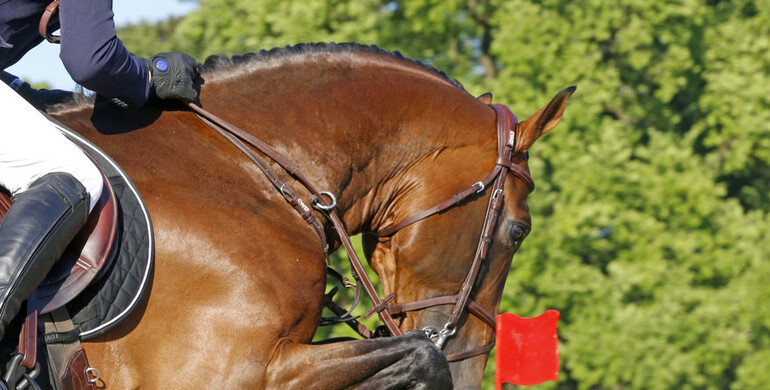 The Competition College of the BCA imposes penalty payments on the FEI, the SPRL Global Champions League and the SPRL Tops Trading Belgium
