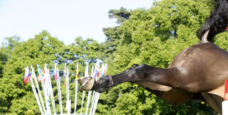 This weekend's CSI2* Grand Prix winners