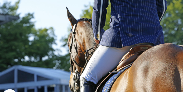 Mental Equipment: Confidence in showjumping