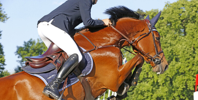 Working Group agrees on key recommendations on Jumping Invitation Rules and event requirements