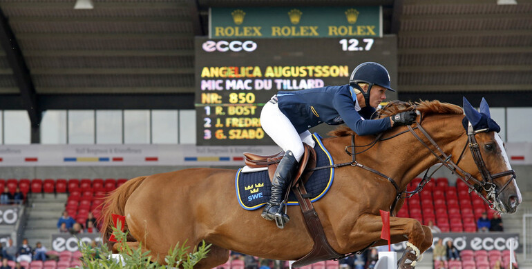 An incredible career comes to an end for Mic Mac du Tillard