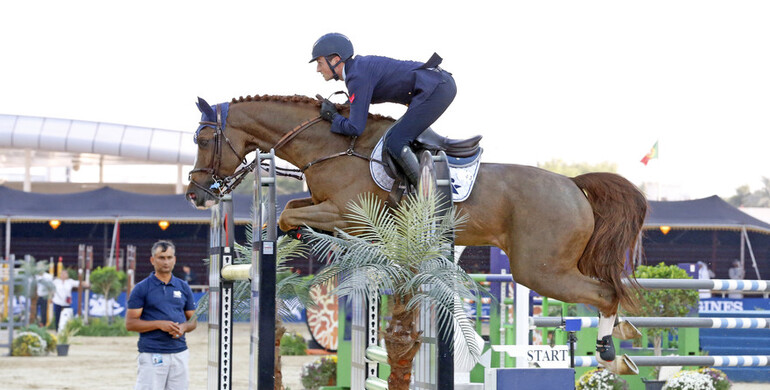 Halifax van het Kluizebos takes over the top of the WBFSH Rolex World Ranking List