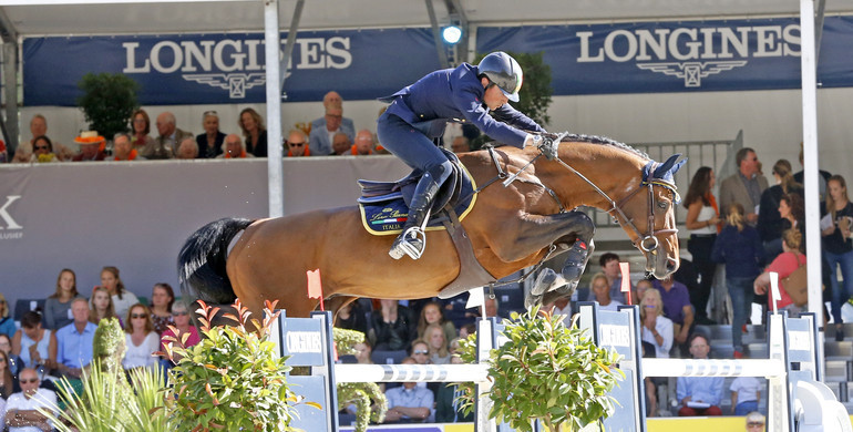 Armitages Boy retires from the sport to focus on breeding career