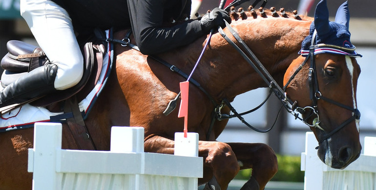 Patricio Pasquel blazes ahead in the ATCO Connect at Spruce Meadows on Friday