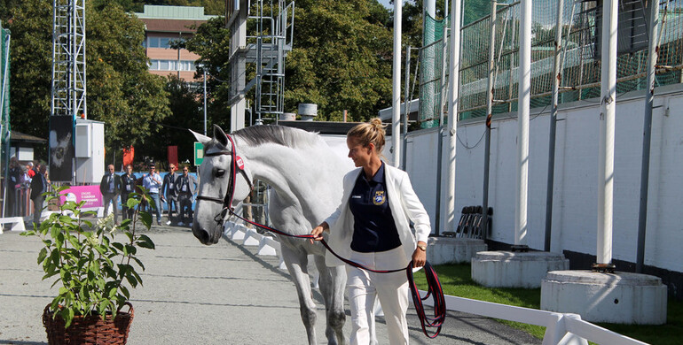 Ready, set, go: Veterinary inspections completed at the Longines FEI European Championships 2017