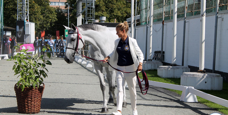 Ready, set, go: Veterinary inspections completed at the Longines FEI European Championships 2017