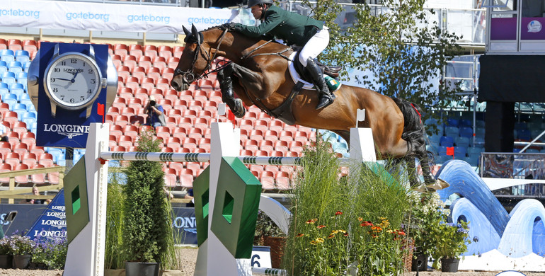 From youngster to international Grand Prix horse: Chaqui Z