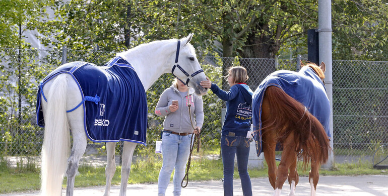 Behind the scenes at the European Championships | Part two