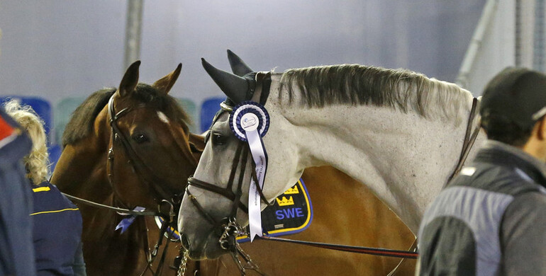 Celebrating Sweden's silver medal!