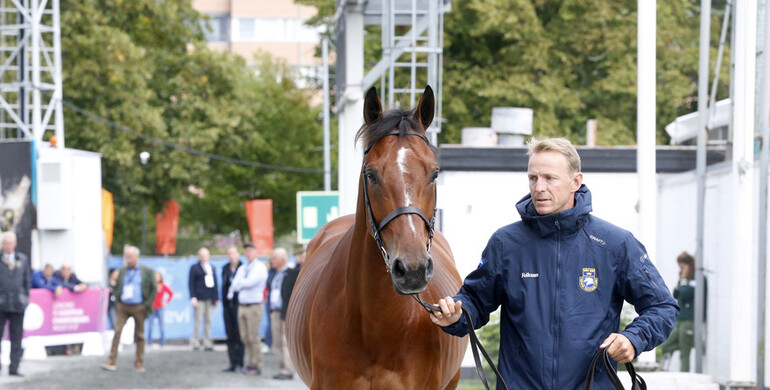 All horses pass veterinary inspection ahead of Sunday's individual final in Gothenburg